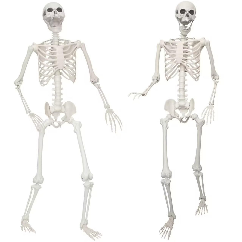 2 Pack 5.4ft Life Size Skeleton with Movable Joints Q450529