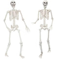 2 Pack 5.4ft Life Size Skeleton with Movable Joints Q450529