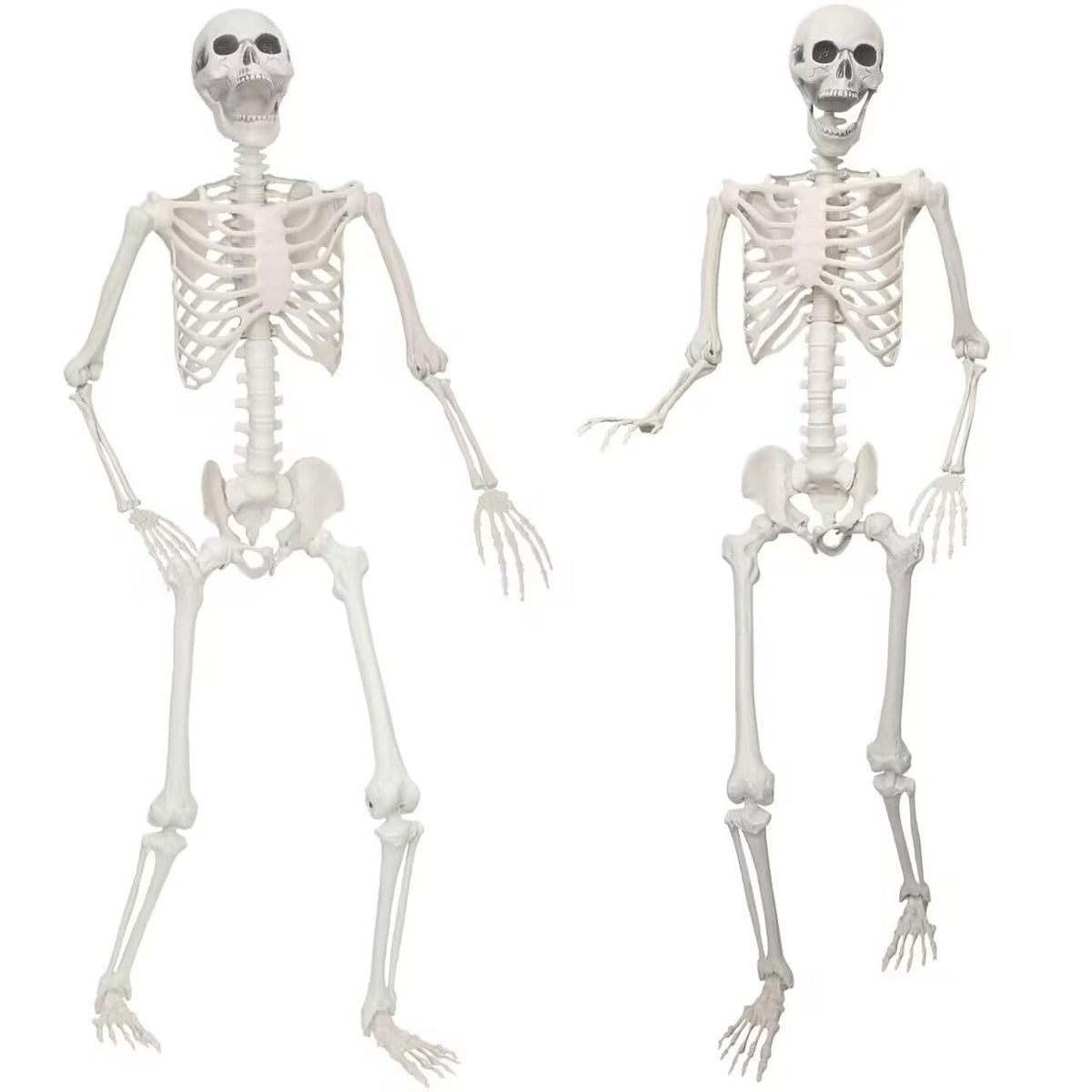 2 Pack 5.4ft Life Size Skeleton with Movable Joints Q450529