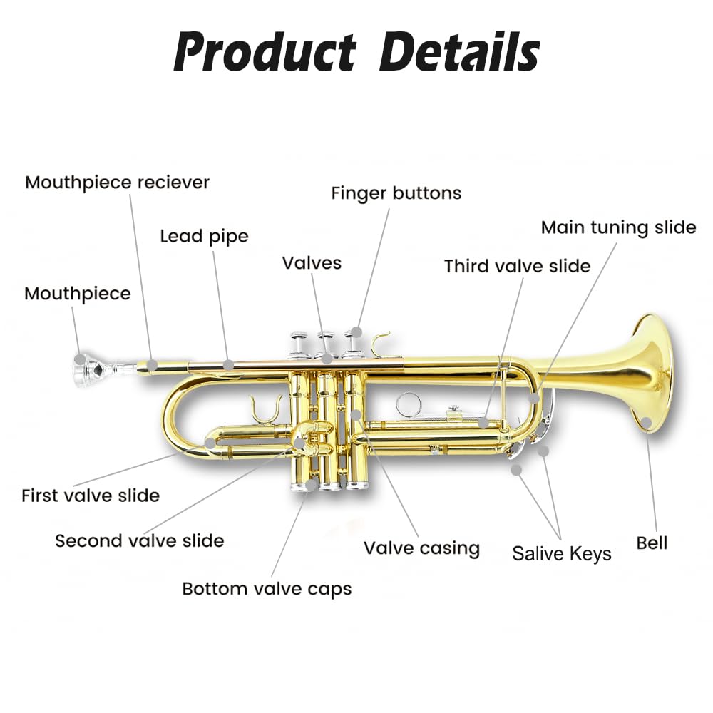 Standard Trumpet Set with Carrying Case 7C Mouthpiece Brass H2011
