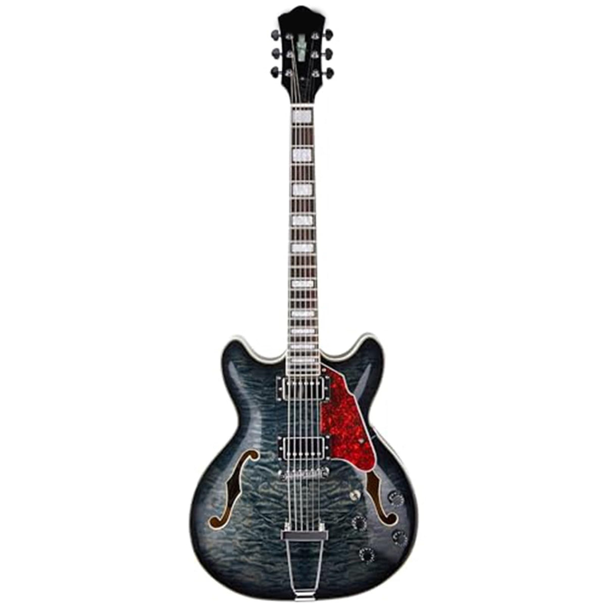 Semi Hollow Electric Guitar with Case S539