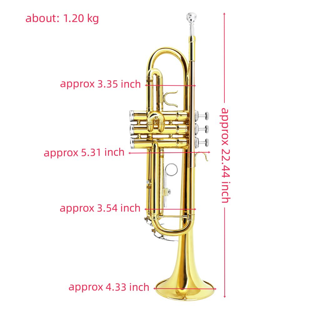 Standard Trumpet Set with Carrying Case 7C Mouthpiece Brass H2011