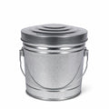 6 Gallon Galvanized Steel Can with Locking Lid V629565