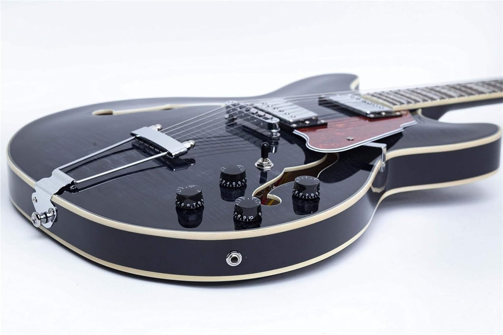 Semi Hollow Electric Guitar with Case S539