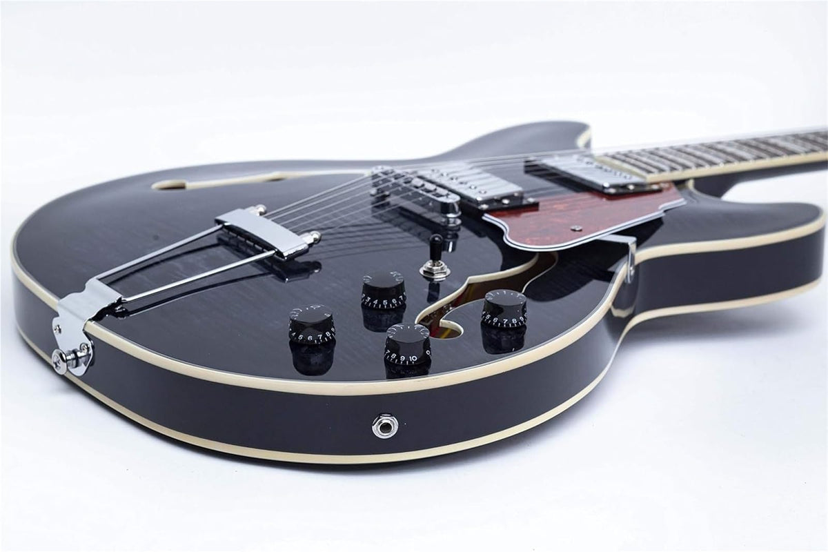 Semi Hollow Electric Guitar with Case S539