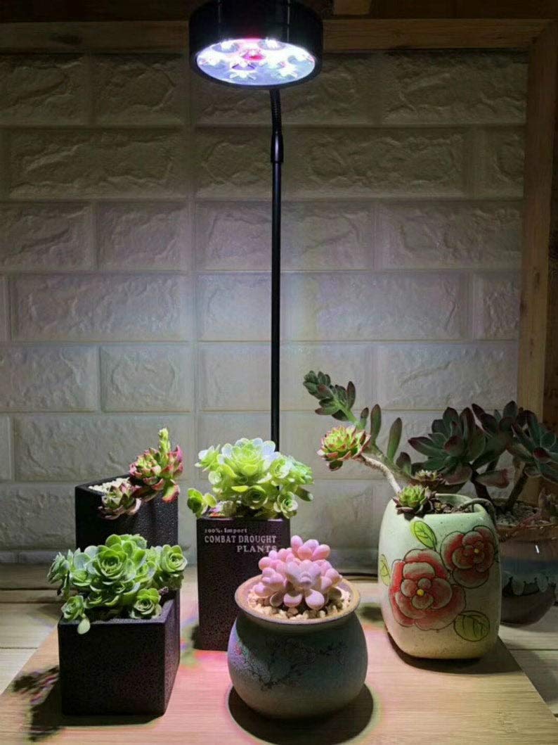 Full Spectrum LED Light with Bamboo Board 5W A99389