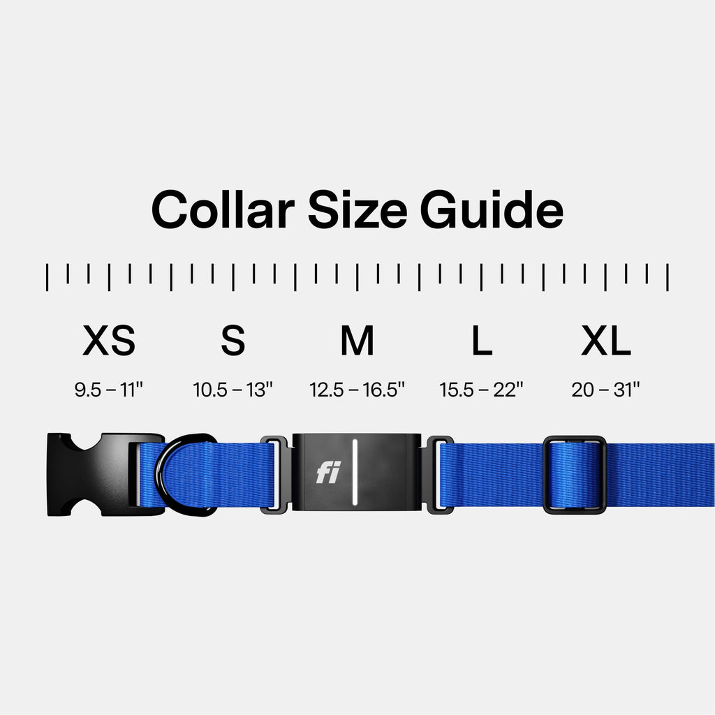 GPS Dog Collar & Tracker E223028