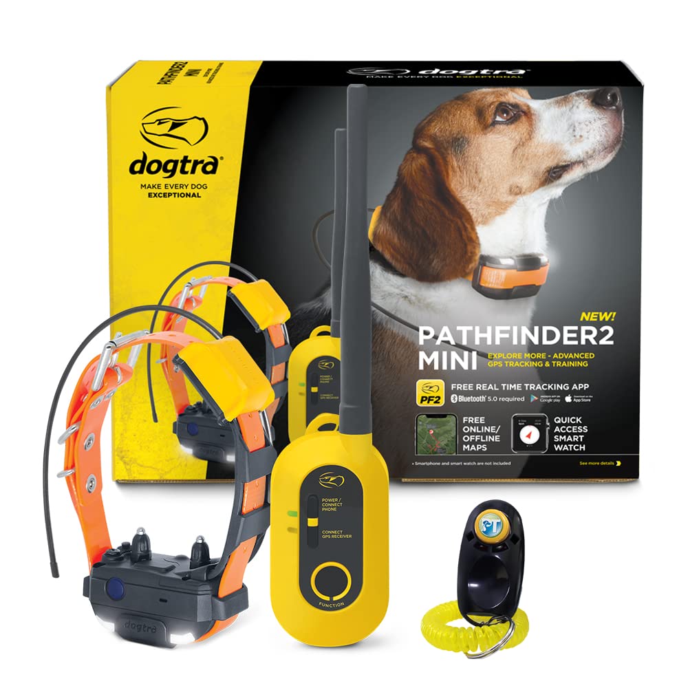 Rechargeable GPS Training Collar with Remote V38812