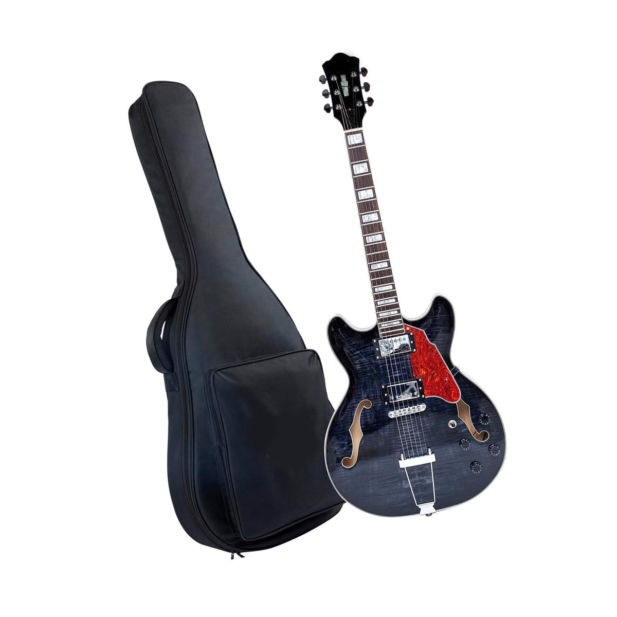 Semi Hollow Electric Guitar with Case S539