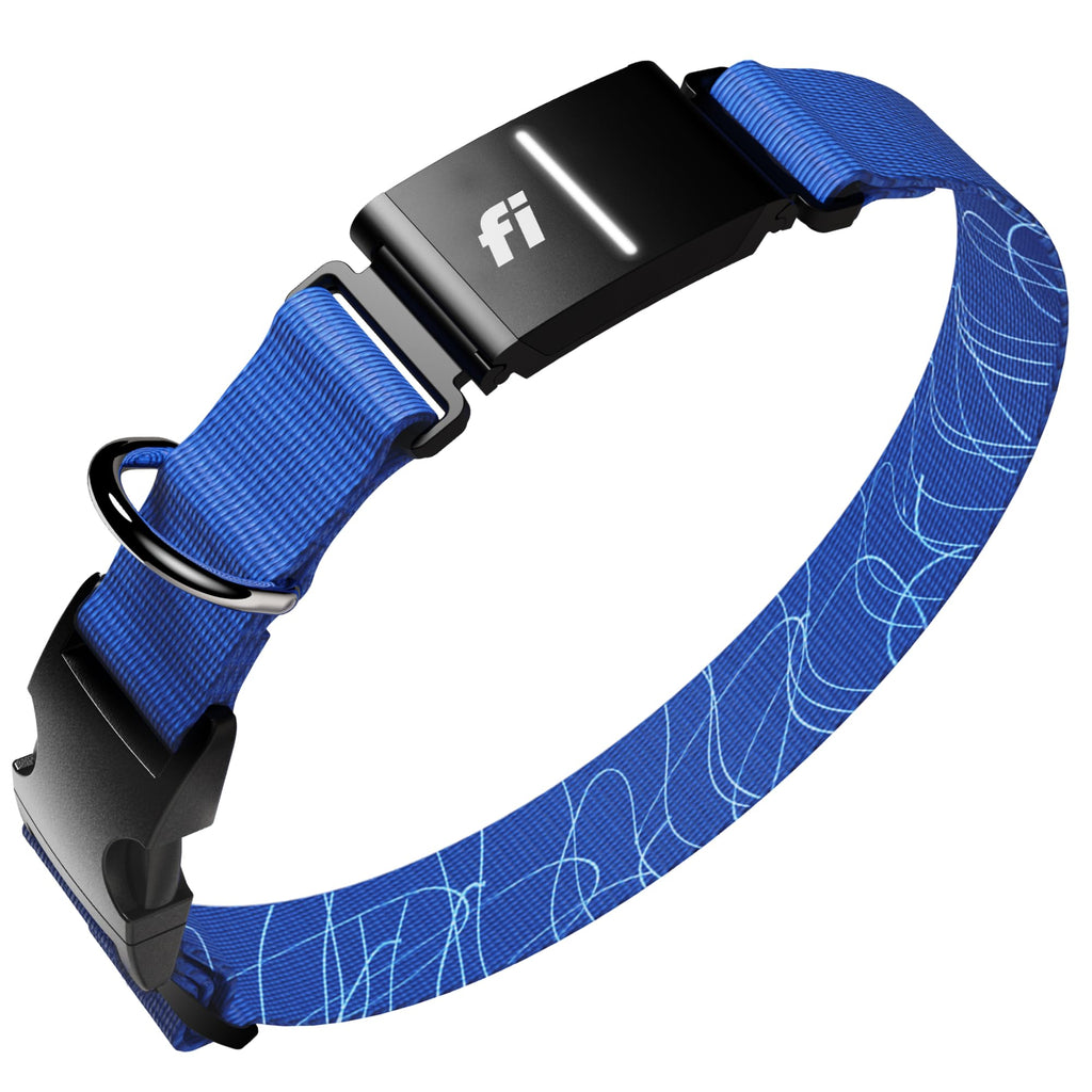 GPS Dog Collar & Tracker E223028