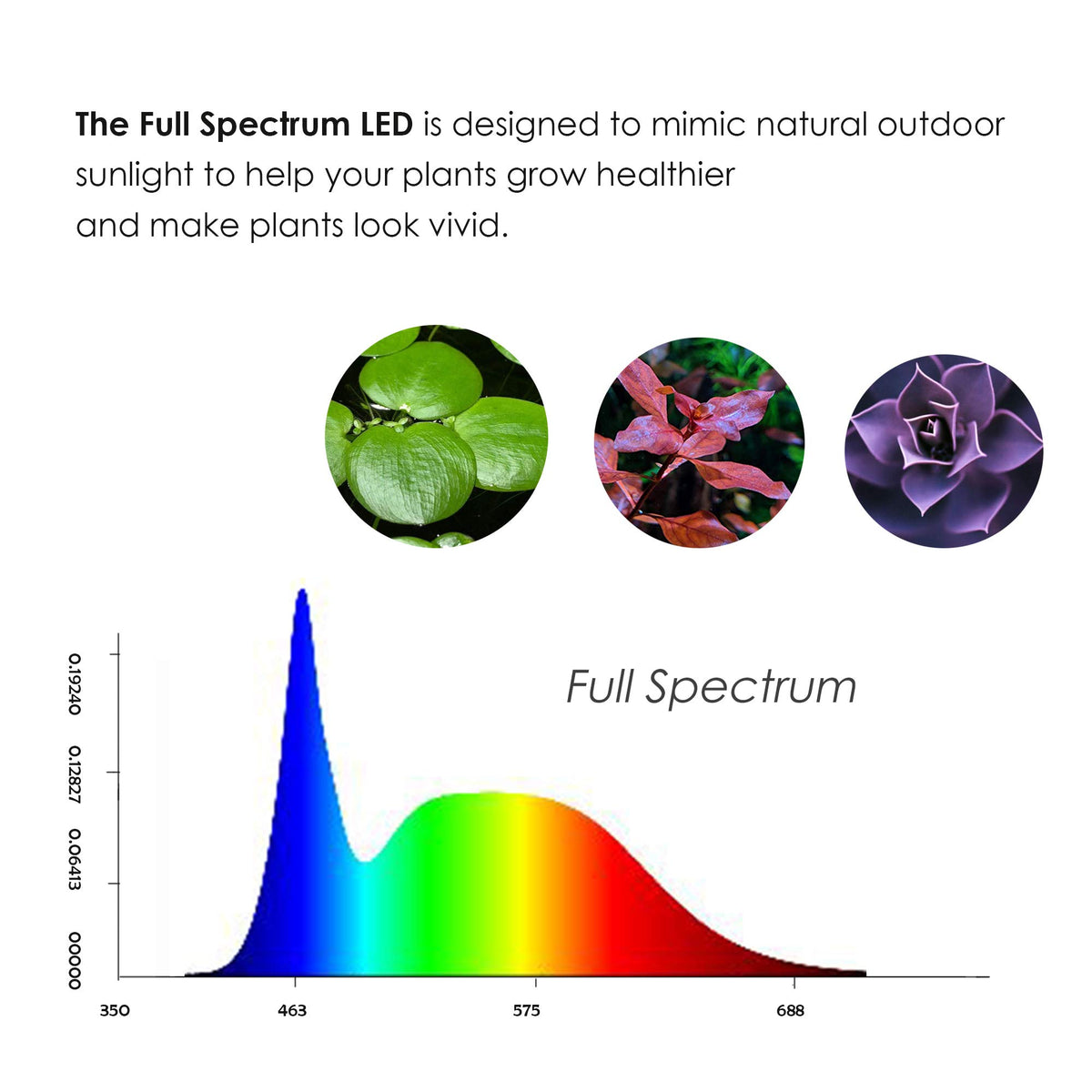 Full Spectrum LED Light with Bamboo Board 5W A99389