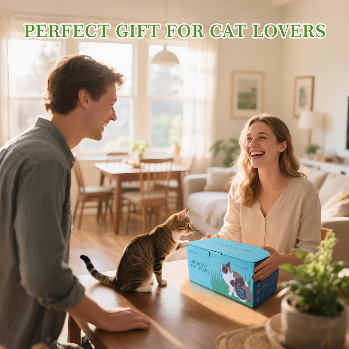 5-Pack Cat Grass Kit with Wood Planter E90644