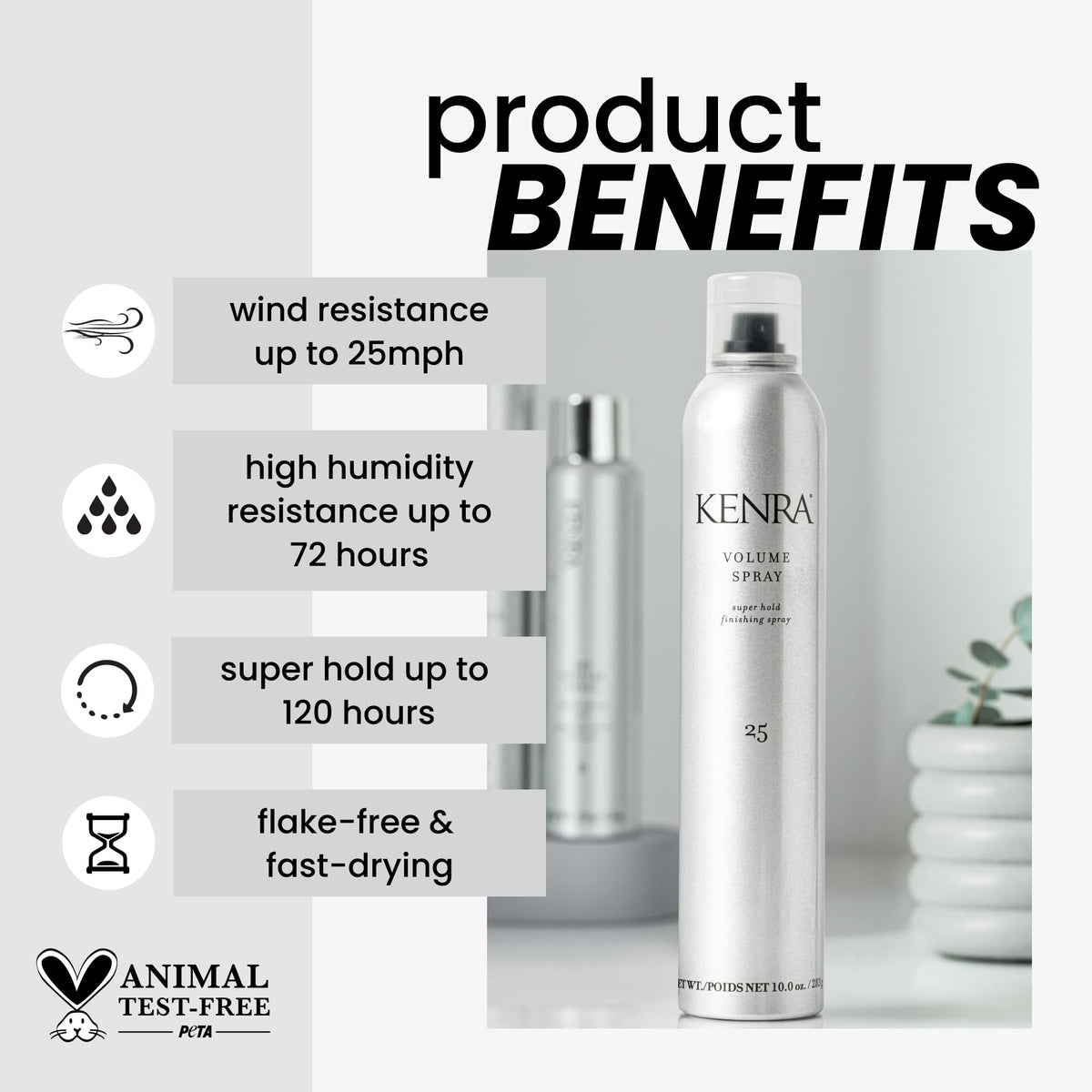 10 oz 2-Pack Hairspray D481923