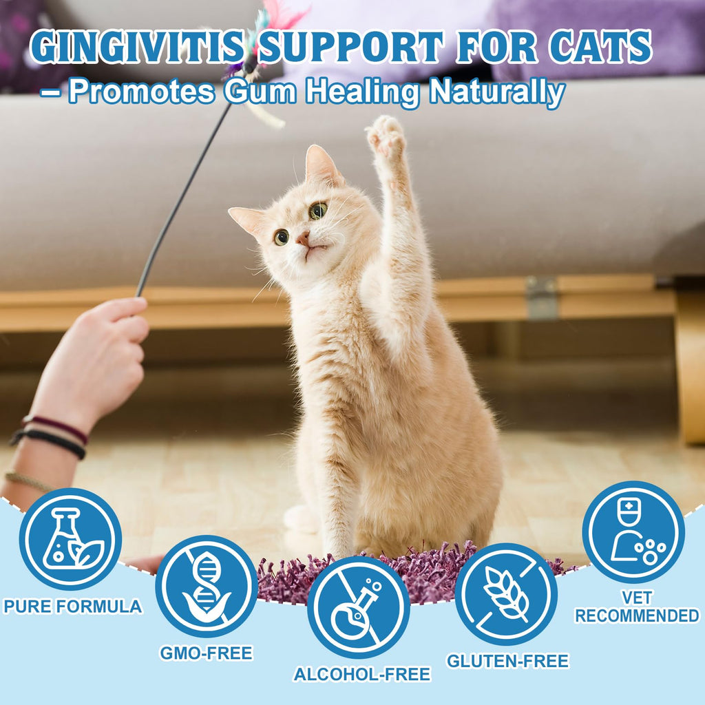 Natural Plant-Based Cat Oral Care F768959