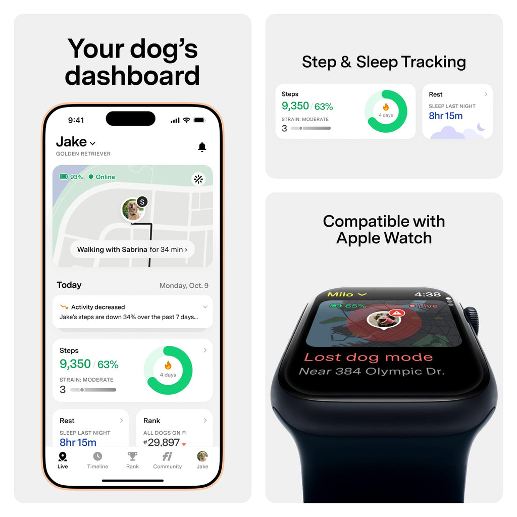 GPS Dog Collar & Tracker E223028