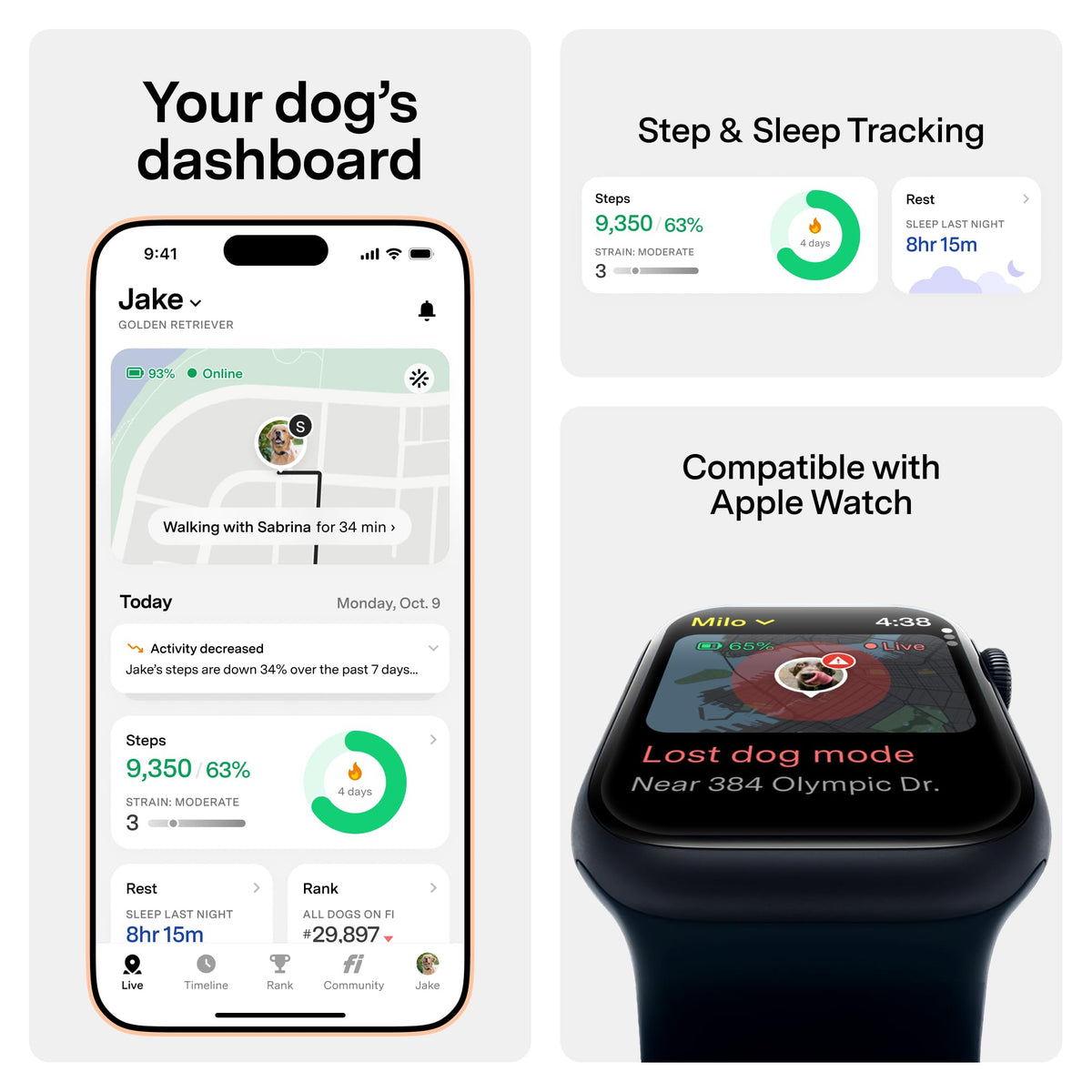 GPS Dog Collar & Tracker E223028