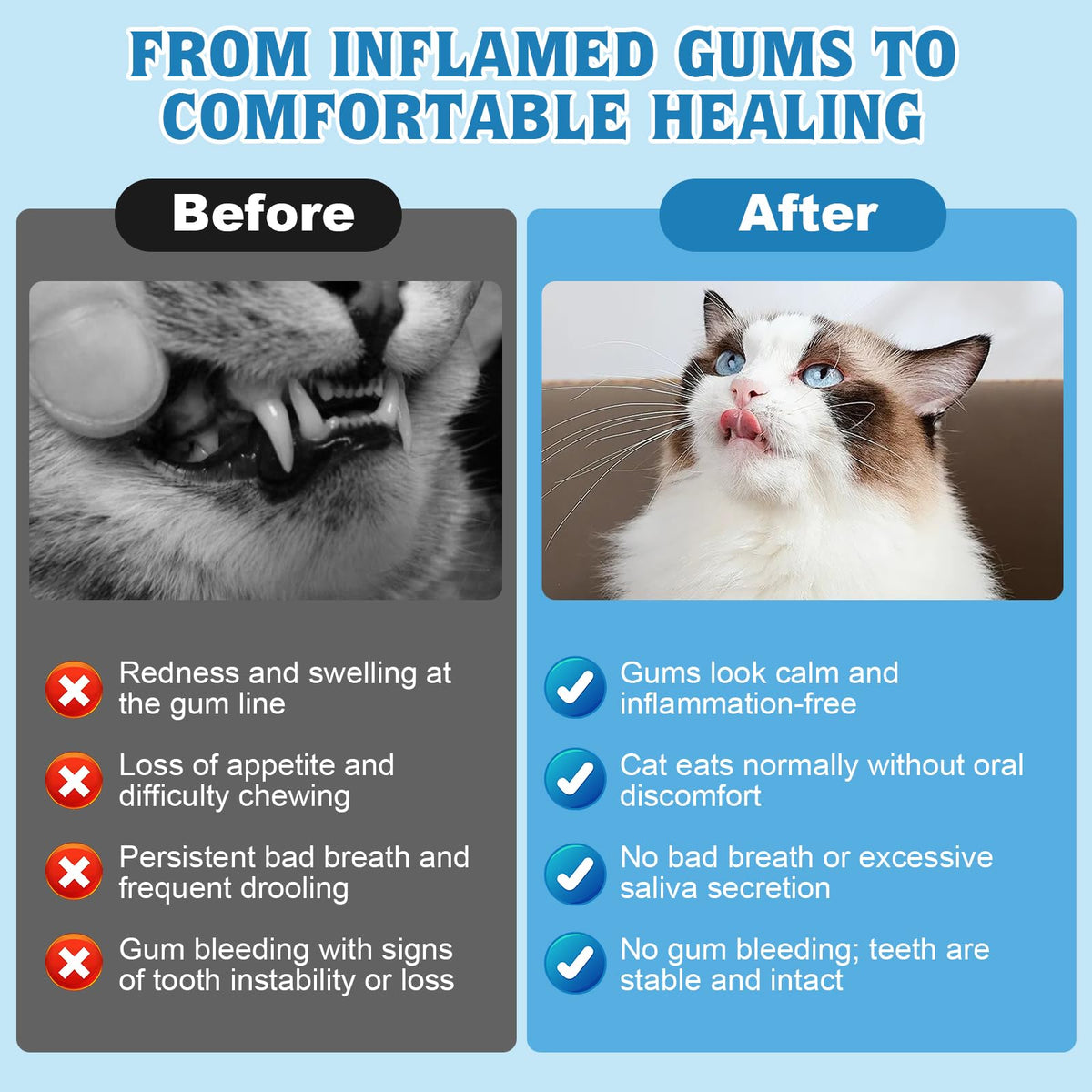Natural Plant-Based Cat Oral Care F768959