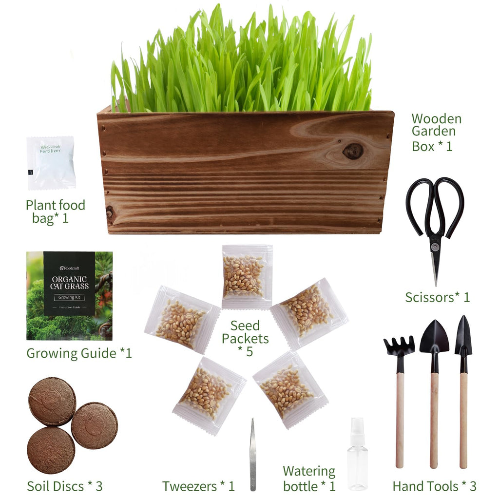 5-Pack Cat Grass Kit with Wood Planter E90644
