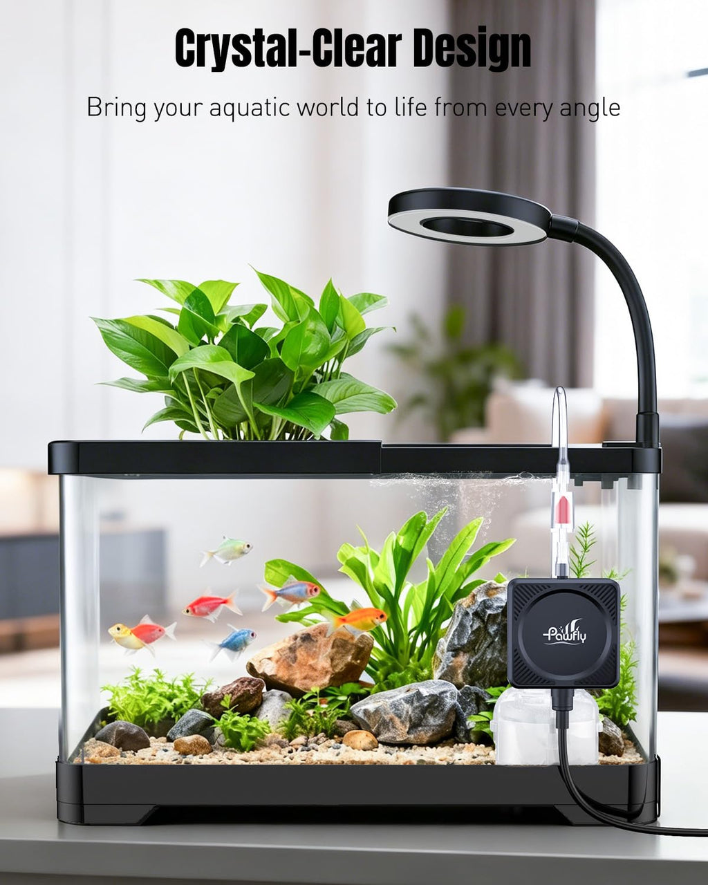 2 Gallon Ultra Clear Aquarium Starter Kit with LED Light, Air Pump, Filter W810
