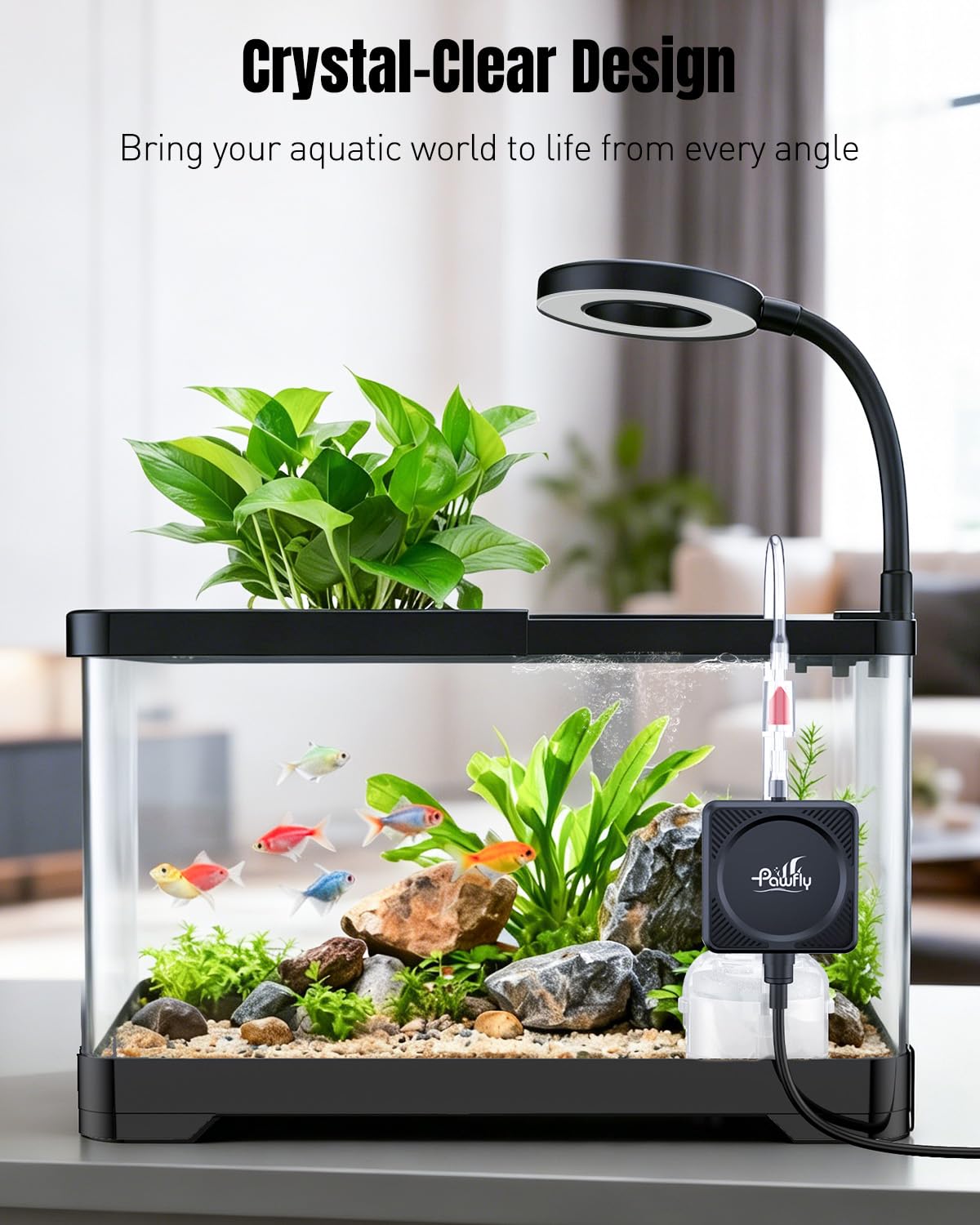2 Gallon Ultra Clear Aquarium Starter Kit with LED Light, Air Pump, Filter W810