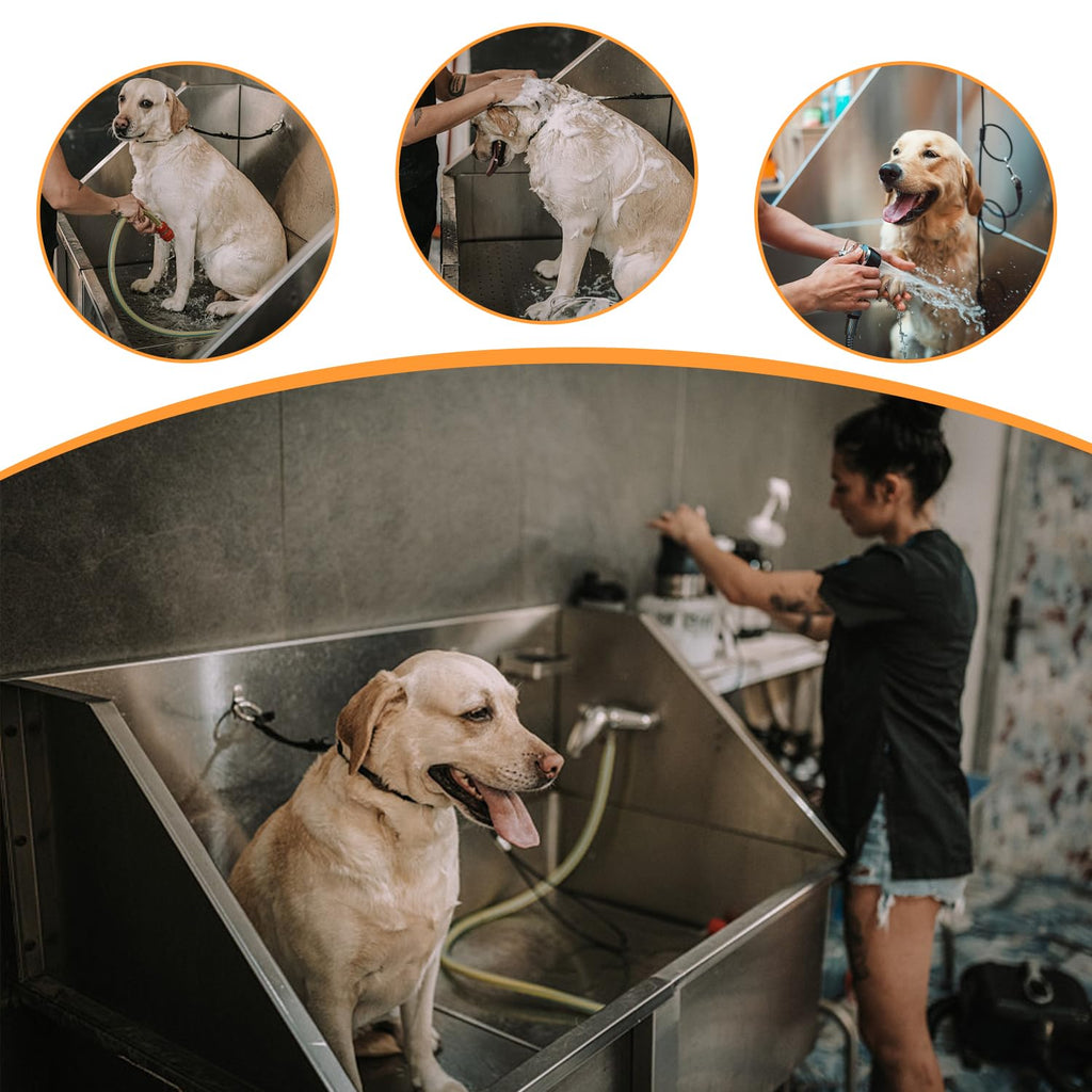 Stainless Steel Dog Washing Station with Stairs Z462