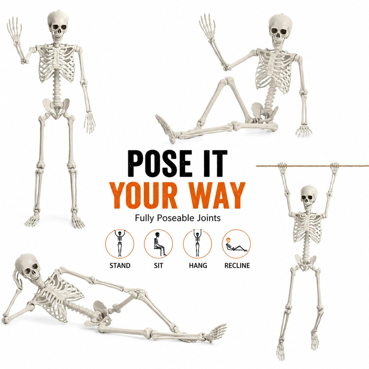 Life Size Poseable Skeleton with Movable Joints U6936