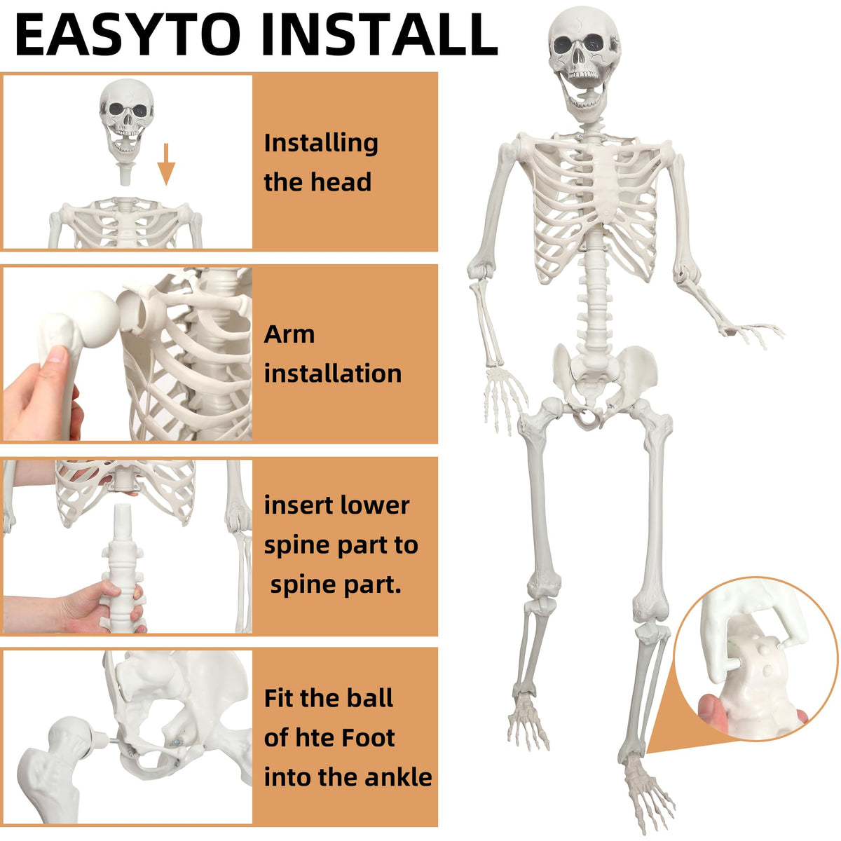 2 Pack 5.4ft Life Size Skeleton with Movable Joints Q450529