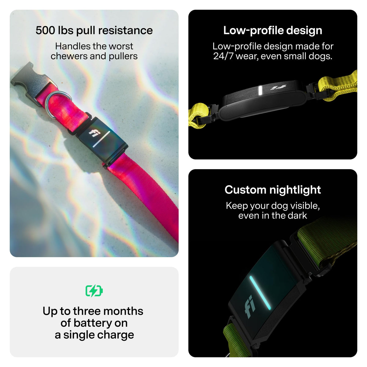 GPS Dog Collar & Tracker E223028