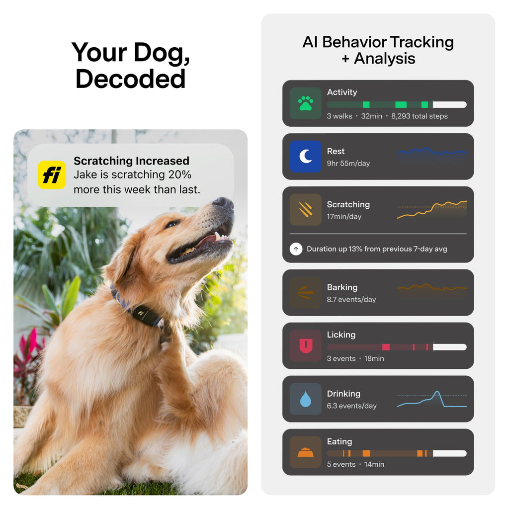 GPS Dog Collar & Tracker E223028