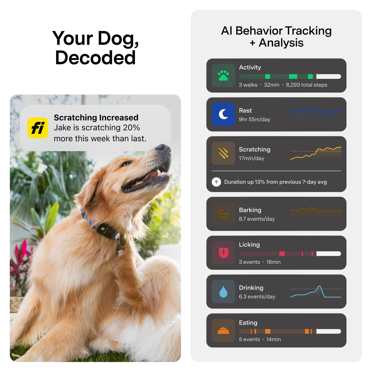 GPS Dog Collar & Tracker E223028