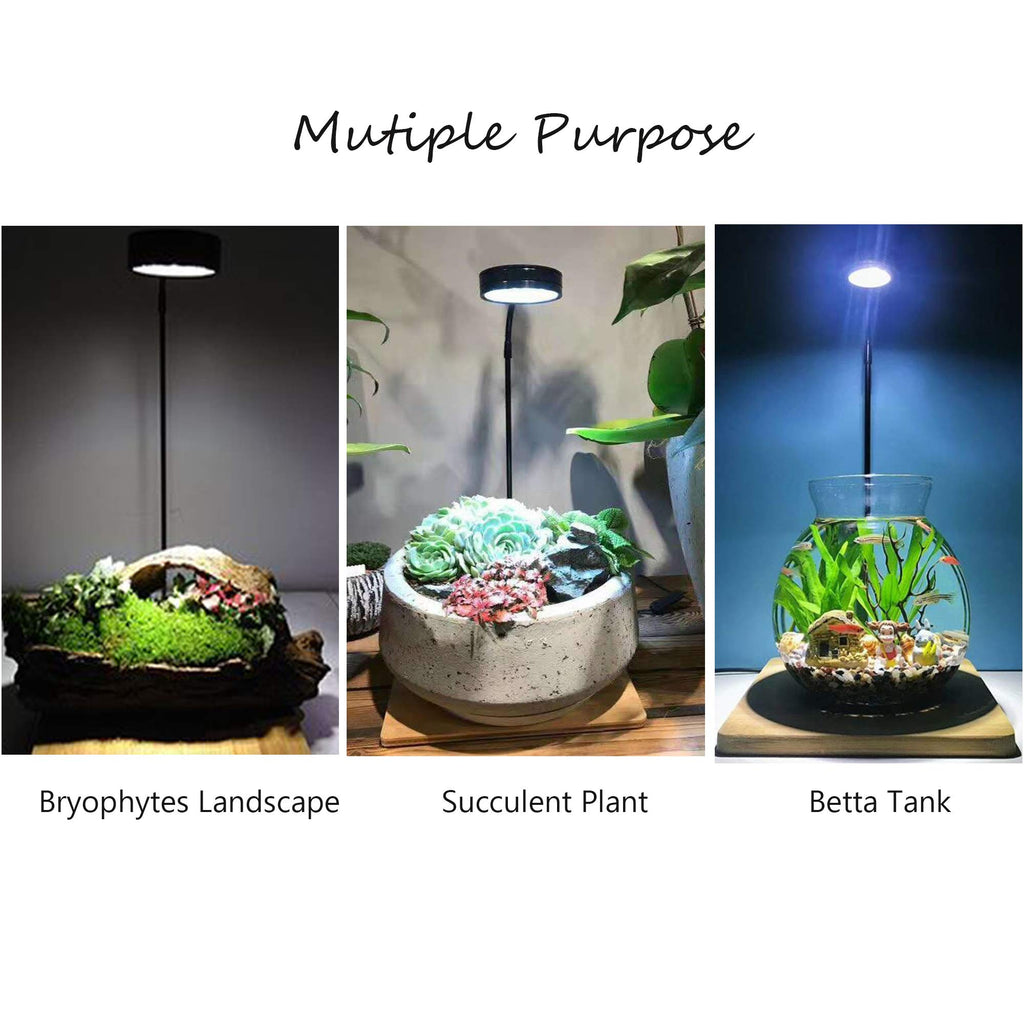 Full Spectrum LED Light with Bamboo Board 5W A99389