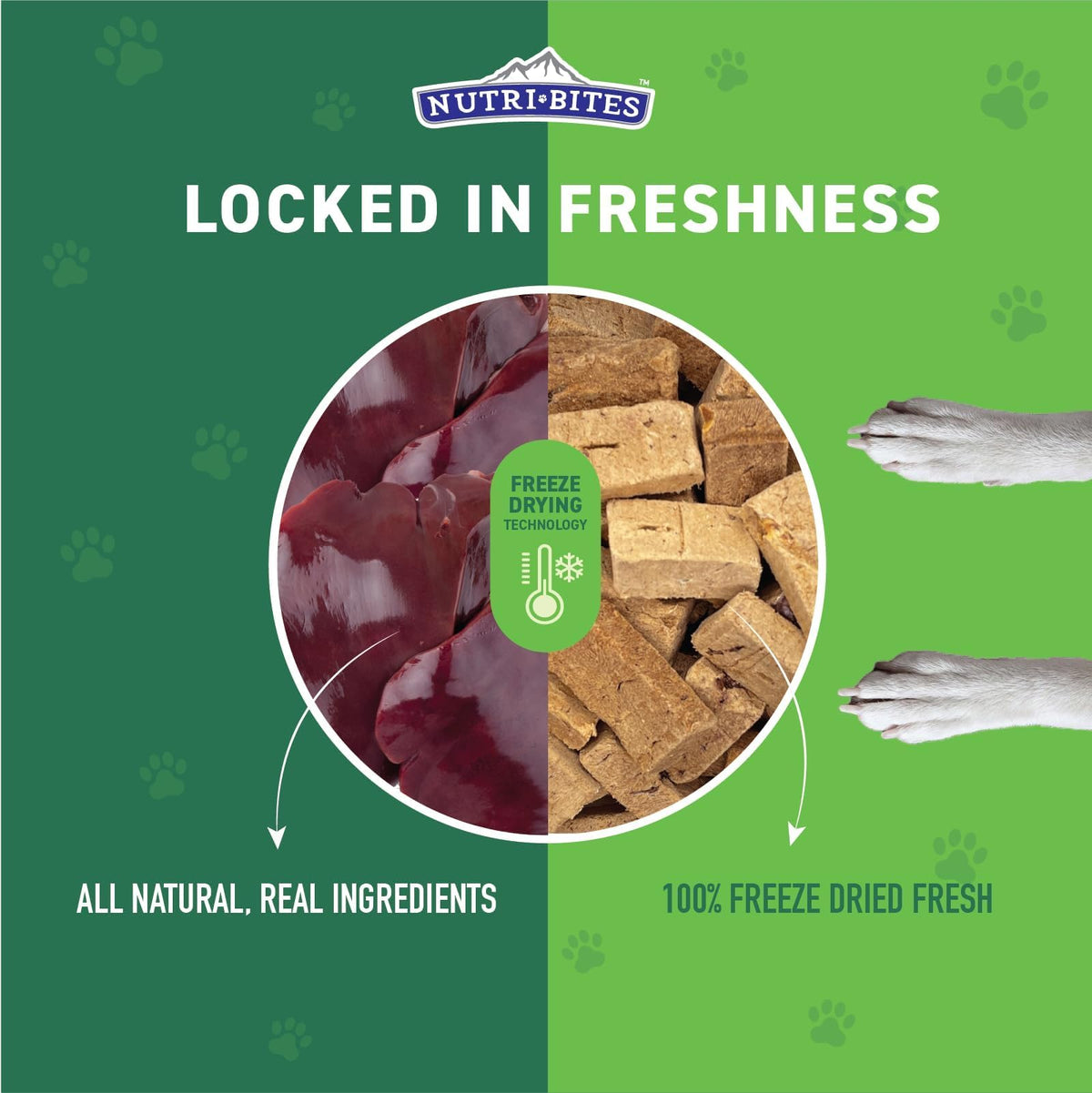 Freeze Dried Beef Liver Dog & Cat Treats 27 Ounce Bag F474