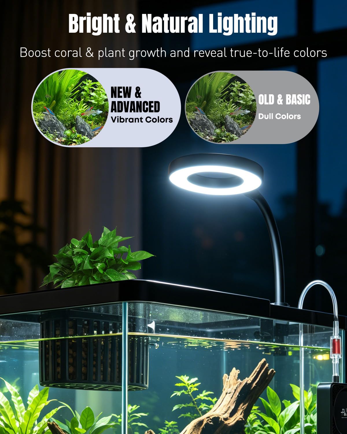 2 Gallon Ultra Clear Aquarium Starter Kit with LED Light, Air Pump, Filter W810