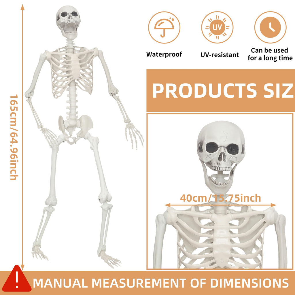 2 Pack 5.4ft Life Size Skeleton with Movable Joints Q450529