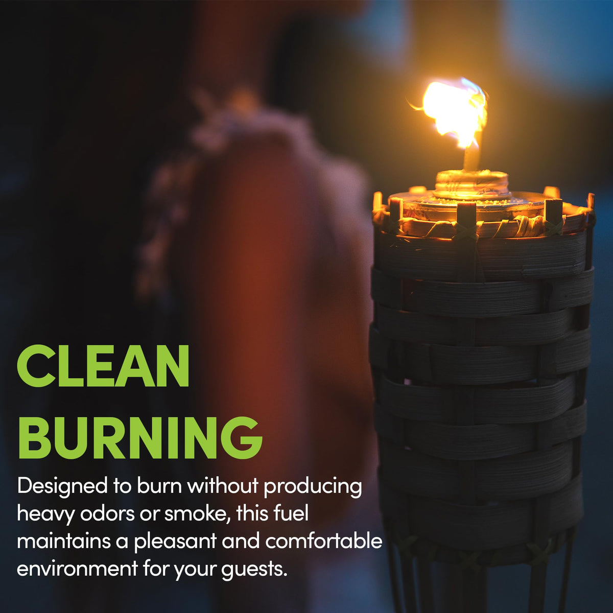 Citronella Torch Fuel 1 Gallon Pack of 2 G7422