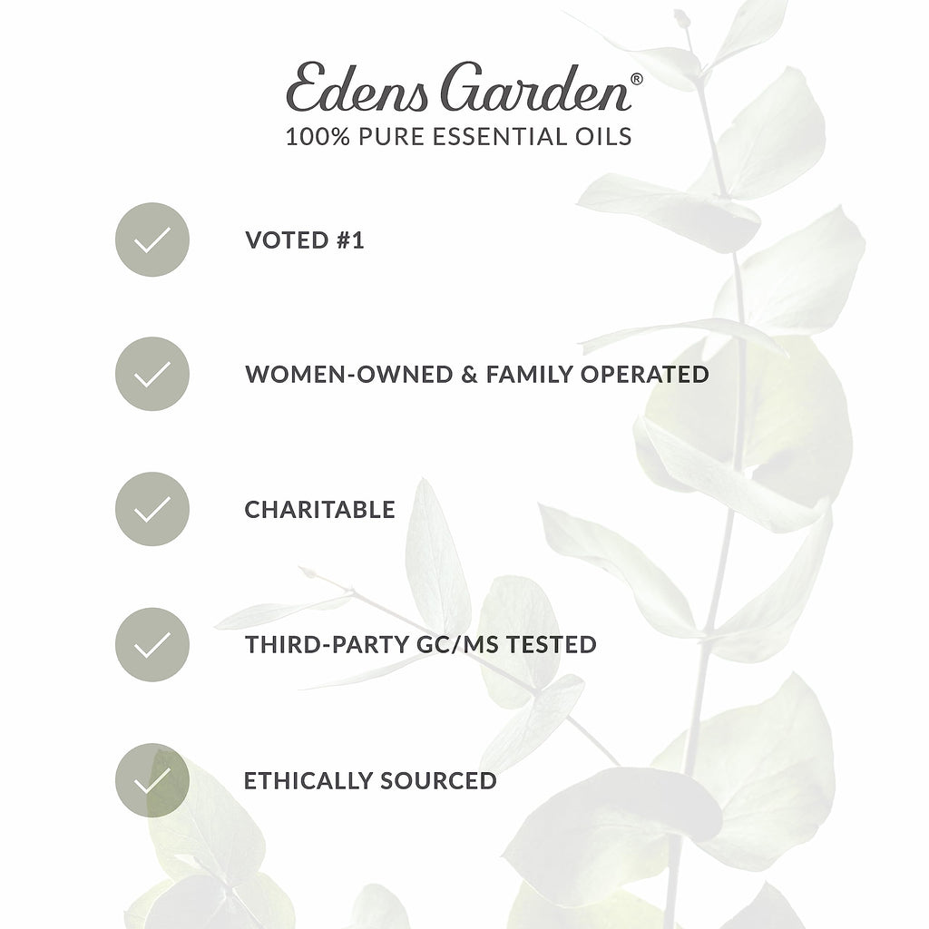 Vanilla Oleoresin Essential Oil 118 ml (4 fl oz) I638574