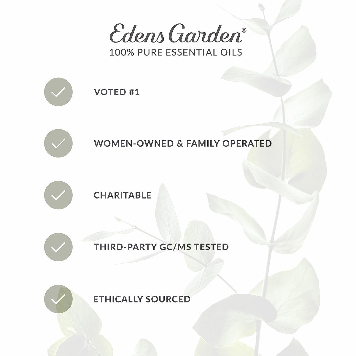 Vanilla Oleoresin Essential Oil 118 ml (4 fl oz) I638574