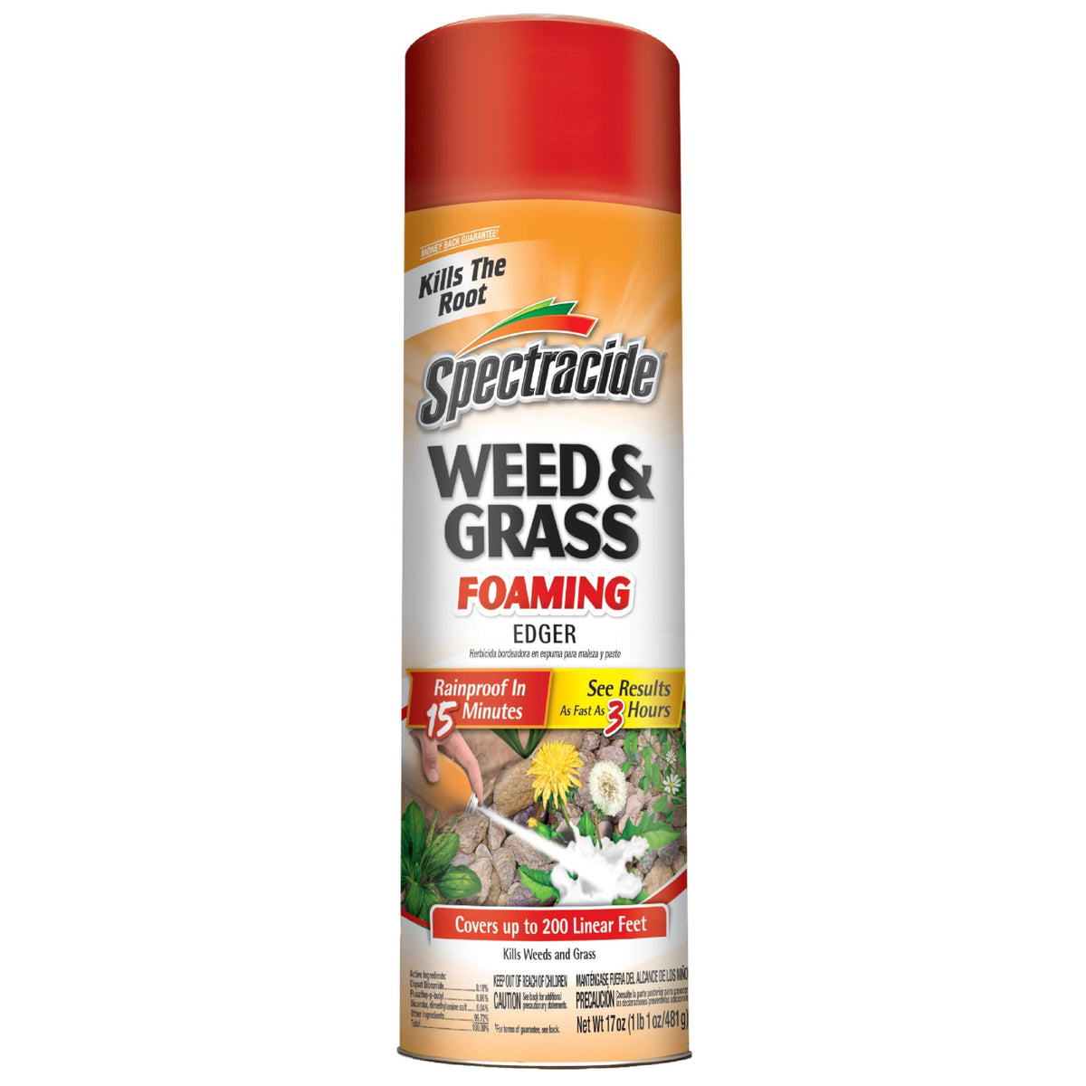 Weed & Grass Foaming Edger Aerosol 17 Oz X40249