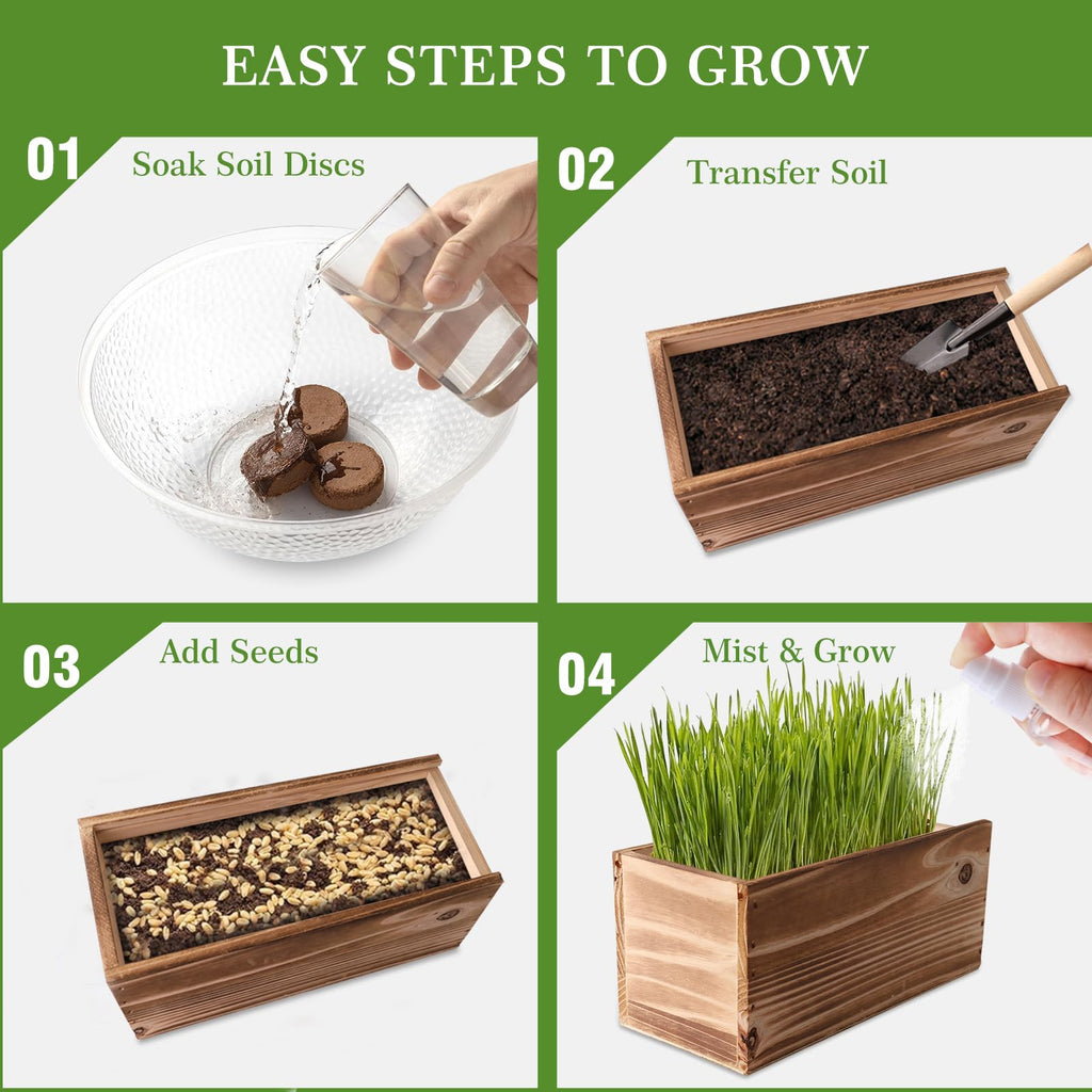 5-Pack Cat Grass Kit with Wood Planter E90644