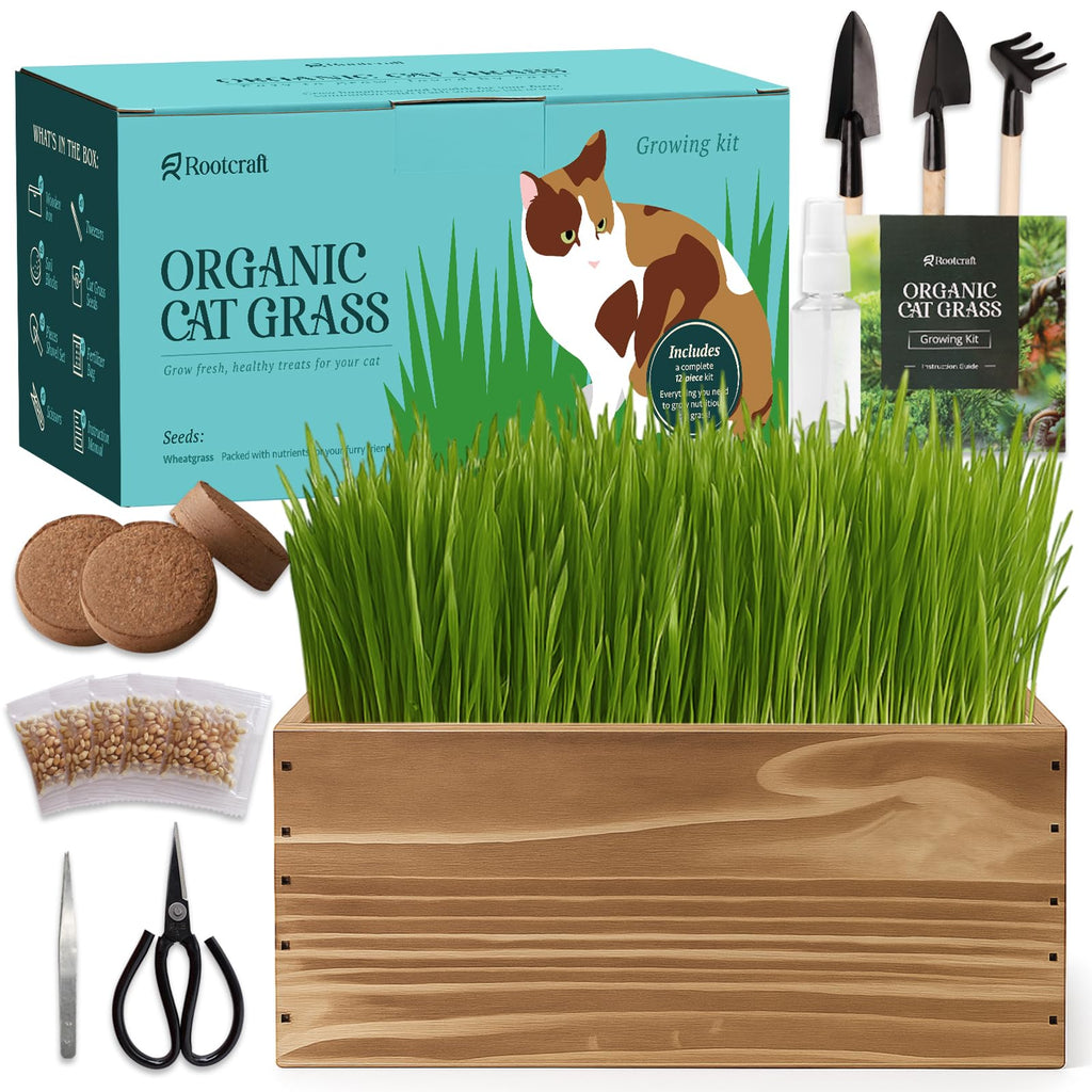 5-Pack Cat Grass Kit with Wood Planter E90644