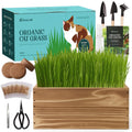 5-Pack Cat Grass Kit with Wood Planter E90644