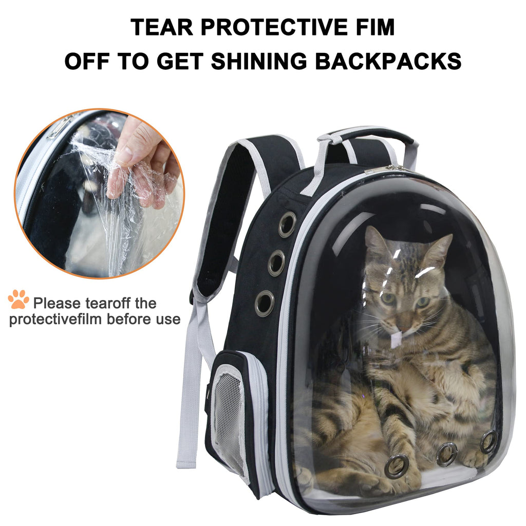 Airline Approved Bubble Cat Backpack N3122