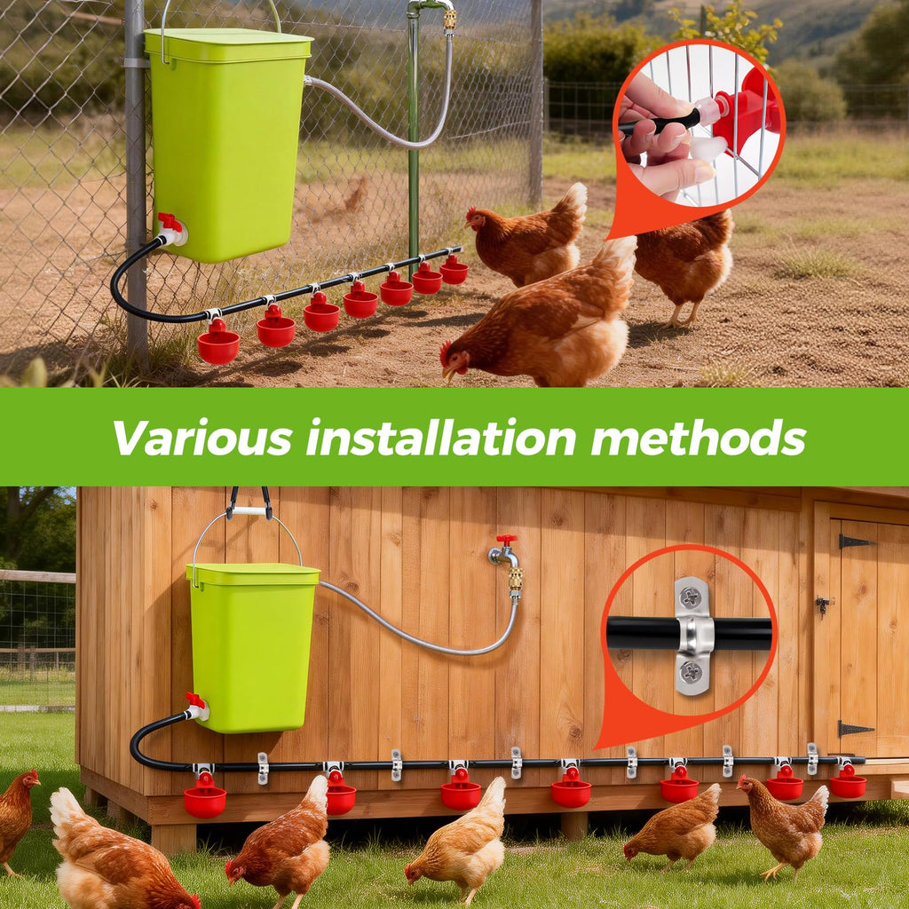 Automatic Chicken Waterer Set K667