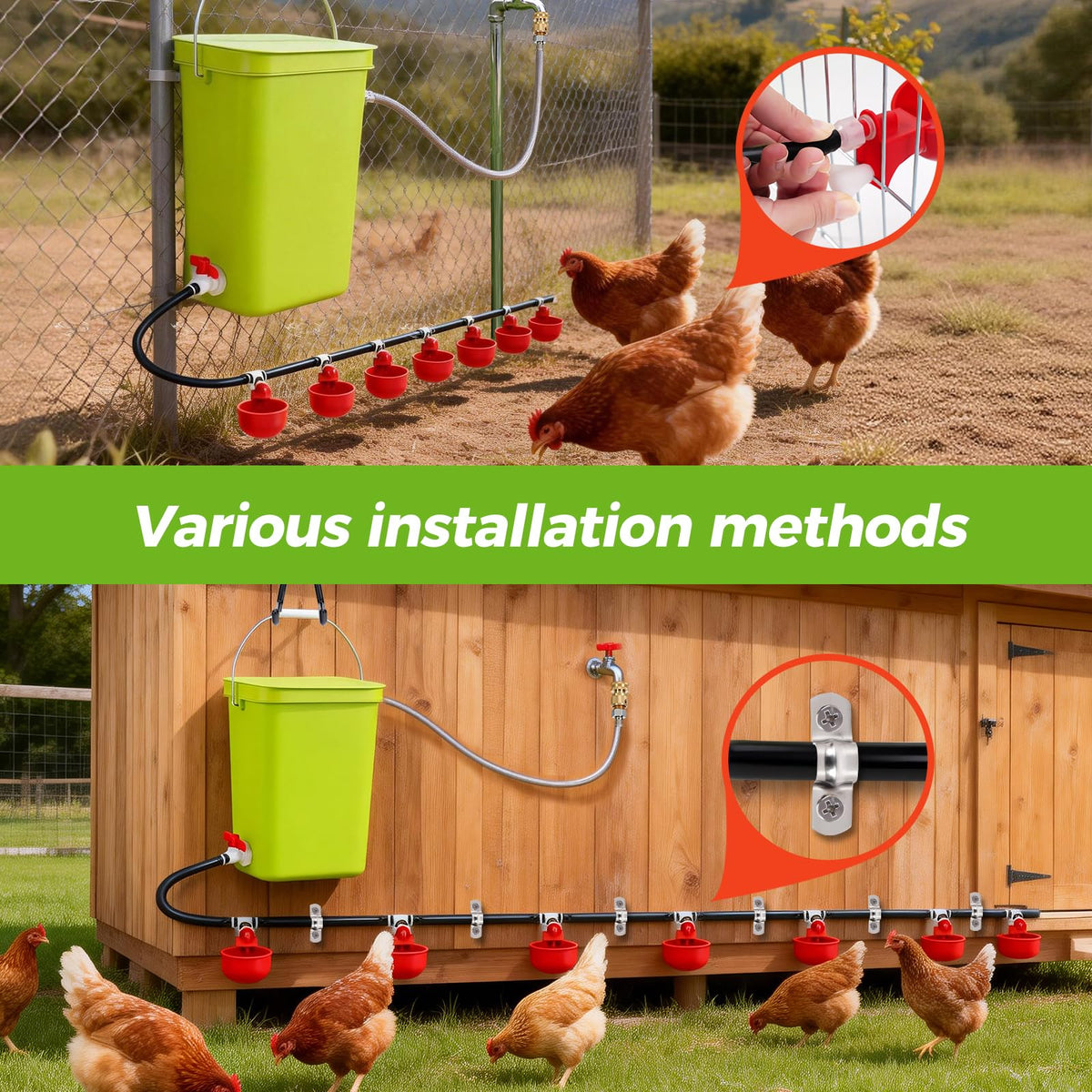 Automatic Chicken Waterer Set K667