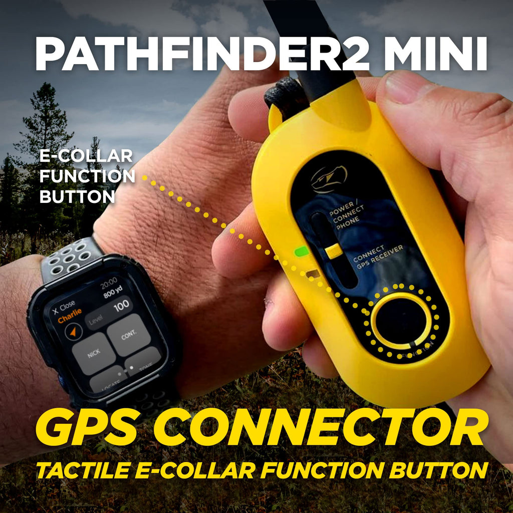 Rechargeable GPS Training Collar with Remote V38812