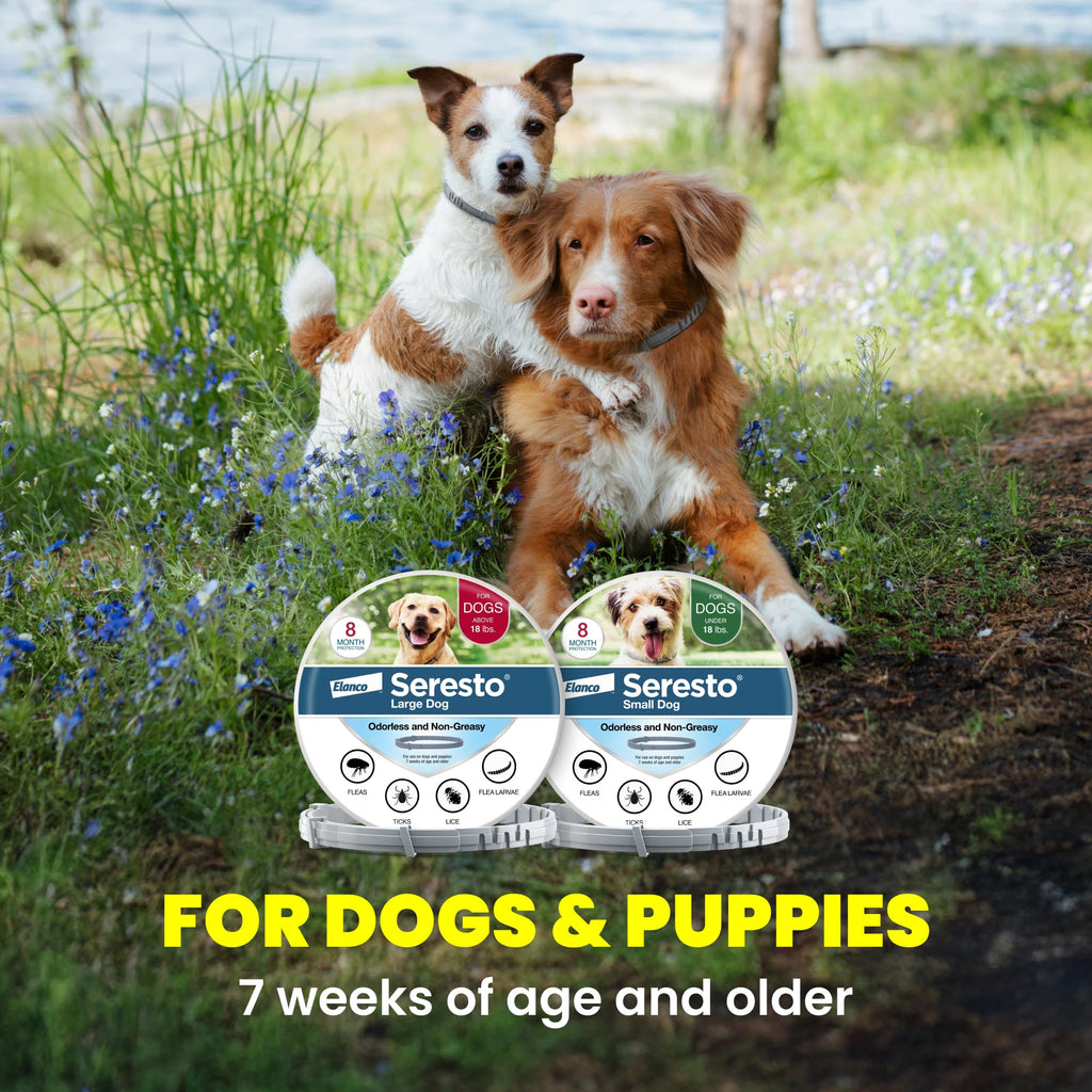 8-Month Flea & Tick Collar for Large Dogs Over 18 lbs K13472