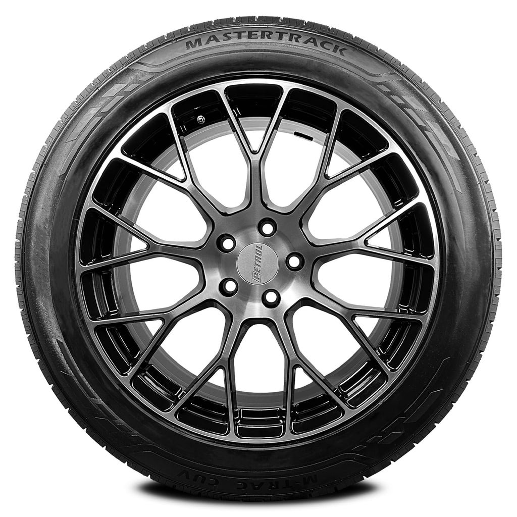 275/55R20 117V XL Tires W39082