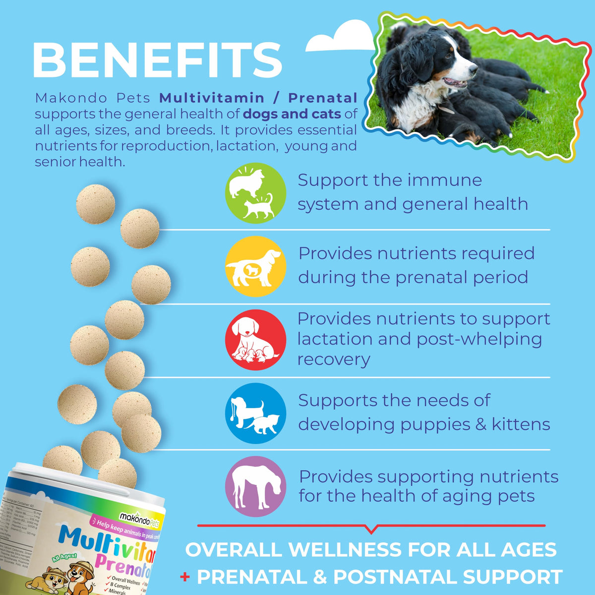 Dog Prenatal Vitamins 60 Tabs Supplement E572020