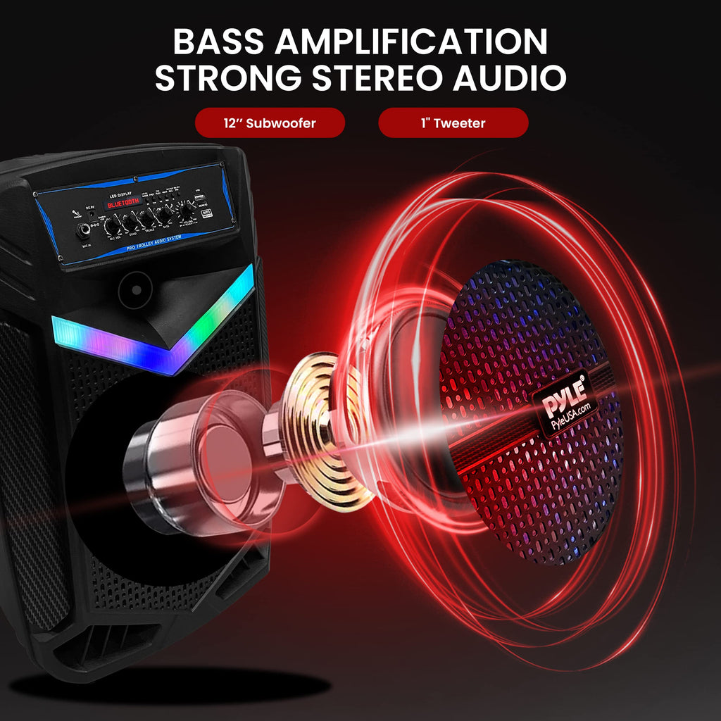 Portable Bluetooth PA Speaker System 800W Rechargeable E19065
