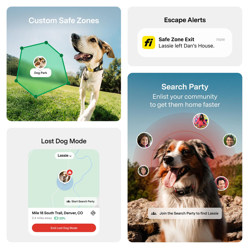 GPS Dog Collar & Tracker E223028